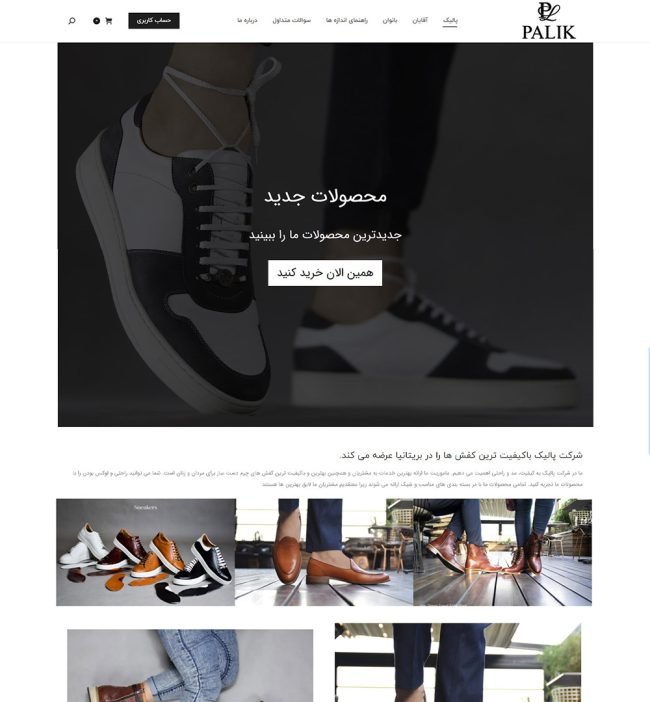 قیمت طراحی سایت با وردپرس 24